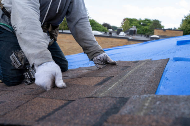 Best Residential Roofing Contractor  in Harrisville, PA