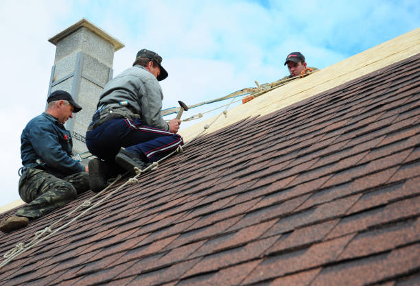 Best Commercial Roofing Services  in Harrisville, PA