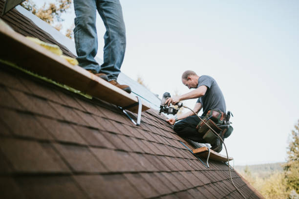 Best Roof Maintenance Services  in Harrisville, PA